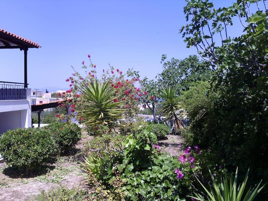 סובאלה Explore Aegina Island מראה חיצוני תמונה